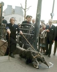 Муравьед играет с собаками