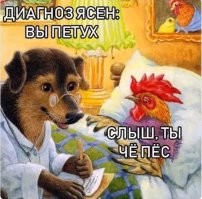 Смешные картинки
