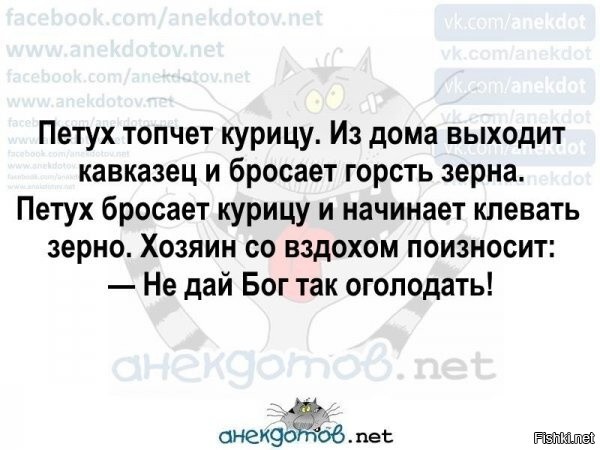 Солянка от 16.04.2025