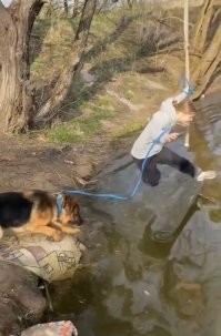 С долбанутой хозяйкой - никак...