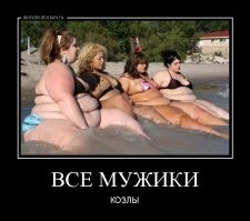 Плюс-сайз блогерша пожаловалась на аэропорт из-за отказа везти её в инвалидном кресле
