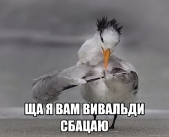На общую тему&nbsp;