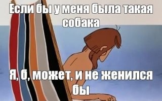 Хозяйка забыла помыть пса