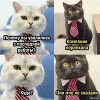 Скрины из соцсетей&nbsp;&nbsp;&nbsp;&nbsp;&nbsp;&nbsp;&nbsp;&nbsp;&nbsp;&nbsp;&nbsp;&nbsp;