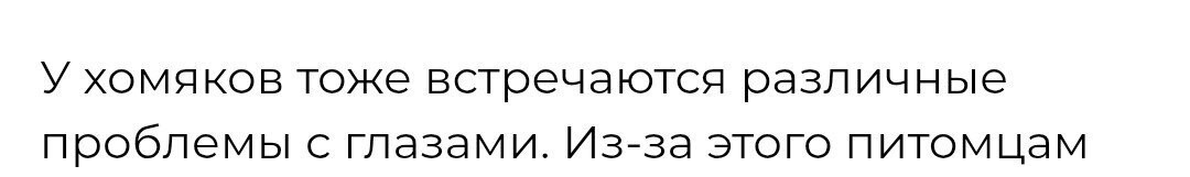 Хомяк и глазные капли