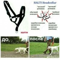 Для этих целей давным-давно изобрели недоуздок для собак или попросту "халти". Работает замечательно. Кроме того, из-за внешнего сходства с намордником, снимает много вопросов на прогулке.