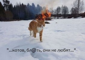 Политический мониторинг (536)