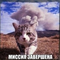 Политический мониторинг (536)