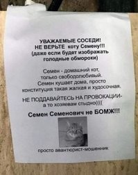 Упитанная кошка-манипулятор выходит из дома на улицу и выпрашивает еду у прохожих