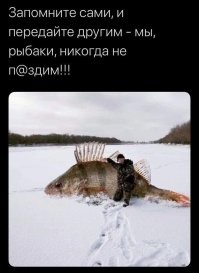 В&nbsp;США мужчина поймал «гибрид аллигатора и щуки»