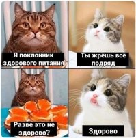 Скрины из соцсетей&nbsp;&nbsp;&nbsp;&nbsp;&nbsp;&nbsp;&nbsp;&nbsp;&nbsp;&nbsp;&nbsp;&nbsp;