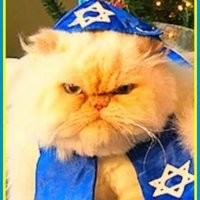 Кот по всей видимости из этих ... любящих прихватить чужое.