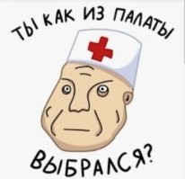 Грумер систематически издевается над четвероногими клиентами