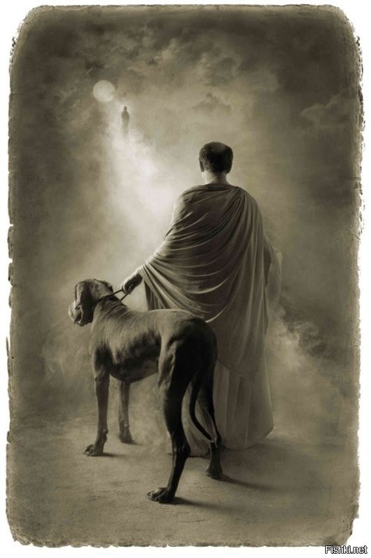 Солянка от 20.04.2025