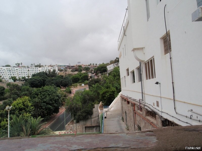 Ну вот, братан, Канары закончились... На следующей неделе ждёт Турция.
Тебя там как, жаба всё ещё душит?