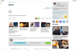 Да ты просто гений журналистики. И как ты на этом говне набрал 38к? Видимо такие же имбецилы там тусуются. Уже не первый раз ты поливаешь авторов дерьмом.