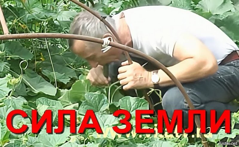Солянка от 21.04.2025