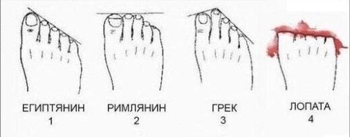 не могу с вами не согласится, как и согласится так же не могу.. смеяться после слова "лопата".

з.ы: скажи "лук"