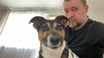 Именно так. У сына такая дурочка на батарейках. Есть только два состояния - комета и спит. Умная, хитрая и послушная. Но дома ничего не разносит, ей надо на улице много энергии тратить.