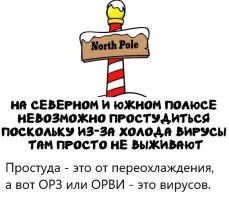 и на Северном и на Южном сотни людей замёрзли,
и от простуды перешедшей в воспаление лёгких или в пневмонию сотни умерли