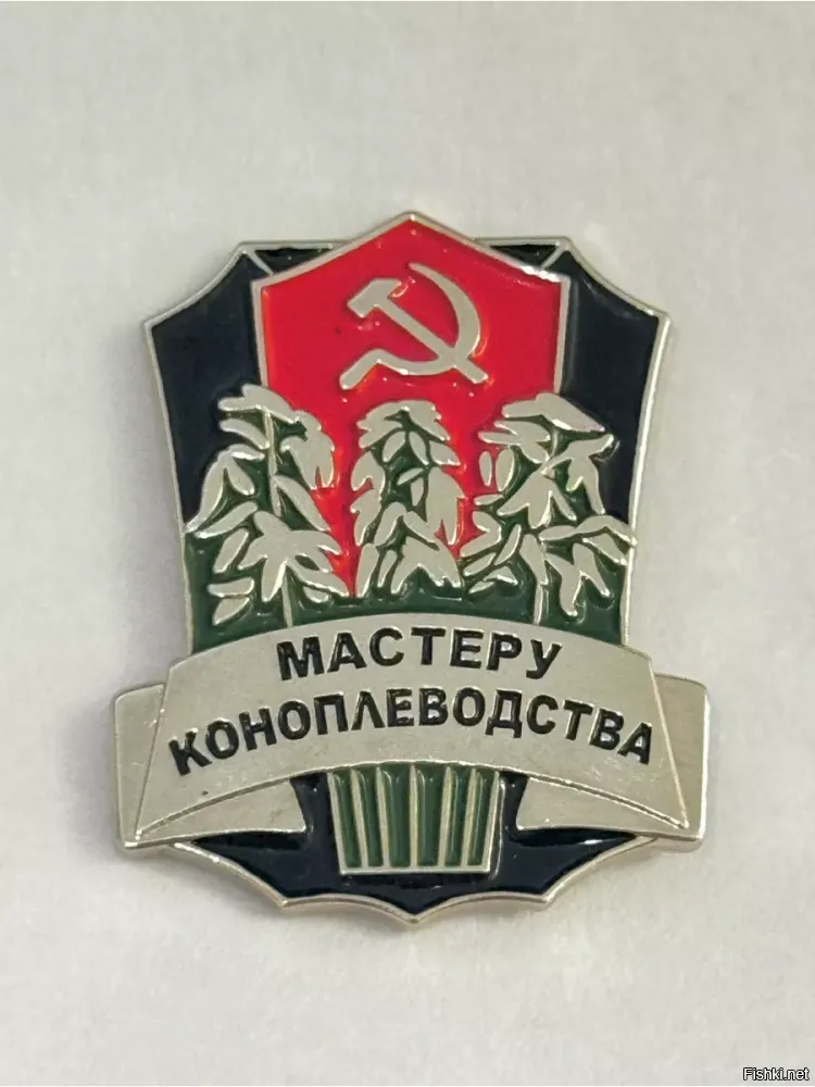 Солянка от 21.04.2025