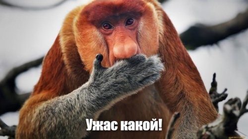 Солянка от 21.04.2025