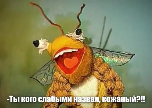 Солянка от 22.04.2025