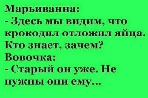 Не ищите здесь смысл. Здесь в основном маразм
