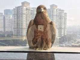Скрины из соцсетей