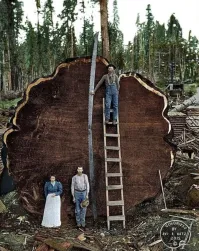 Эту фотографию я вообще не видел ни разу на фишках каждые полгода.