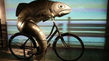 Спортсмен проплыл бассейн, не нарушая водной глади