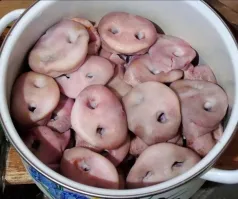 Всё вразнобой&nbsp;