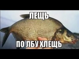 Продолжаем барражировать соцсети