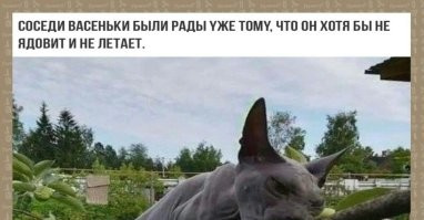 Не ищите здесь смысл. Здесь в основном маразм