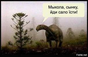 Мыкола Бычок, кардинал из Австралии, урождённый украинец
Древний укр)))