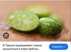 Если не впадать в математическое душнильство, а рассматривать с точки зрения бытового общения, то могу предположить, что это по рисунку от хвостика до пипки.
Точто так же как большенство люди понимают, если их попросишь разрезать арбуз вдоль или поперек, хоть математически он по-прежнему шар.

С другой стороны, арбуз это далеко не всегда шар. Там, где я живу, продают много турецких арбузов по форме и размером с дирижабль. 
Да и как показал гугль, пока фото арбуза искала, мини арбузы, а которых речь, тоже овальные.
