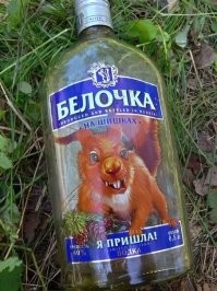 к осени: