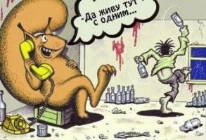 Белка сделала выбор не в пользу орехов