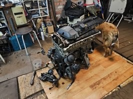 Есть адекватные владельцы БМВ. Вот я например. Машина в одном гараже двигатель в другом. По выходным когда погода можно поковыряться. И курьеры с удовольствием покушать приносят. Мир, дружба, хот-доги!