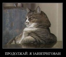 Не ищите здесь смысл. Здесь в основном маразм