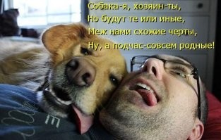 18 забавных животных для отличного настроения