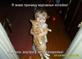 18 забавных животных для отличного настроения
