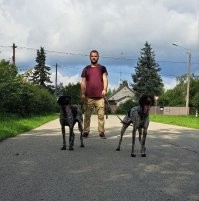 норм, по 27 кг. Но жена сразу двух не выгуливает от греха по дальше. Но у нас дом, выгуливать и не обязательно.