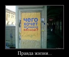 Большая тарелка улыбатора