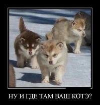 Большая тарелка улыбатора