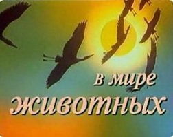 В&nbsp;США парикмахерша отстригла 11-летней девочке косы за&nbsp;отказ платить за&nbsp;опоздание