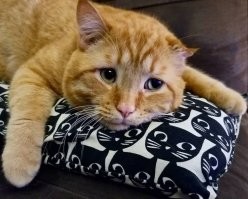 Никто не играет, вот и приходится самому себя развлекать