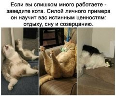 О как!