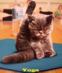 Где йога может пригодиться