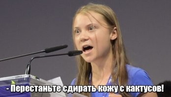 Кожа из кактусов, с заботой о животных и окружающей среде